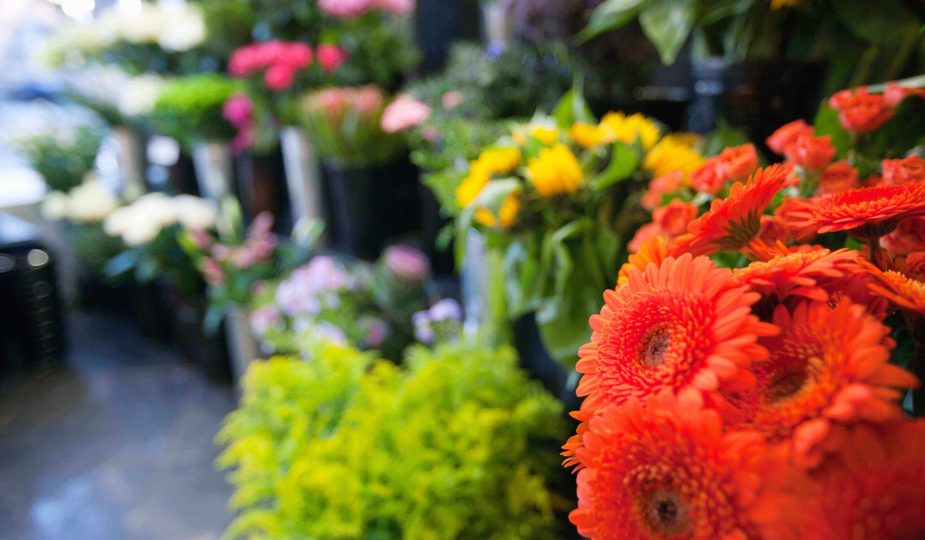 Shop Flower: The Best Places to Buy Flowers for Graduation